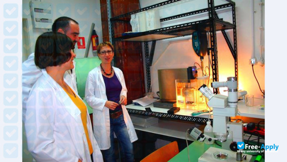 Foto de la University of Split #13