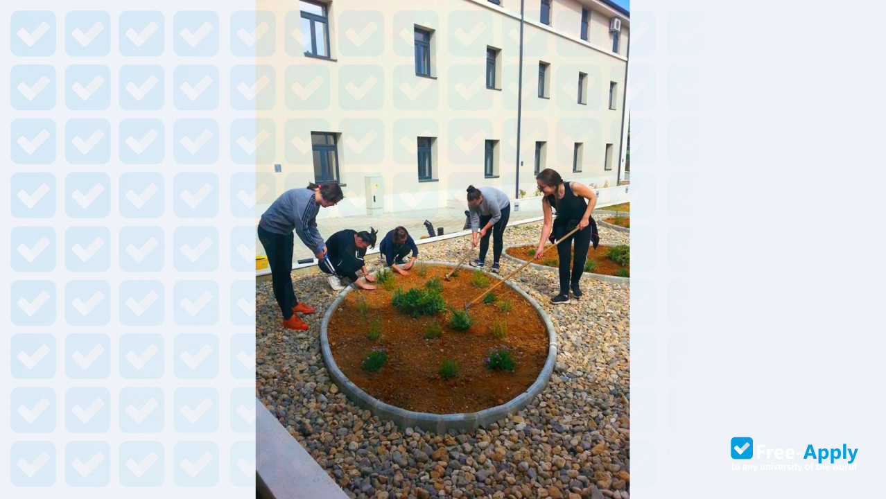 Polytechnic "Marko Marulić" in Knin photo #3