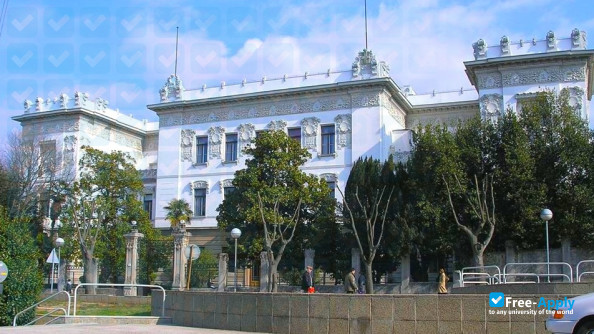 Foto de la University of Pula #9