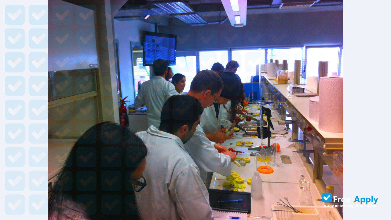 Cyprus University of Technology photo #4
