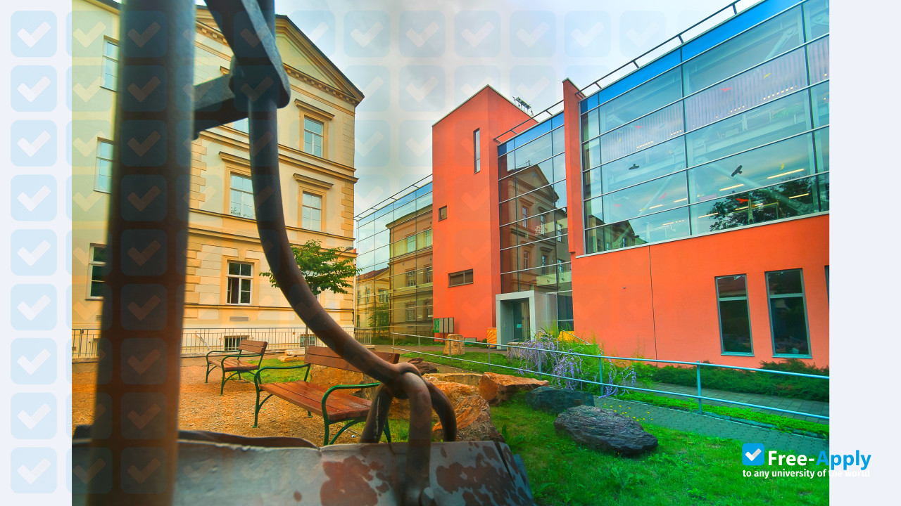 Photo de l’Masaryk University #11