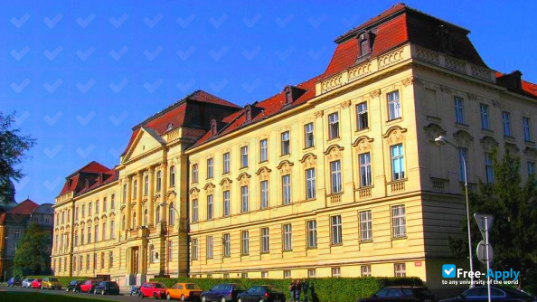 Silesian University in Opava фотография №9