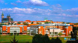 University of Hradec Králové миниатюра №3