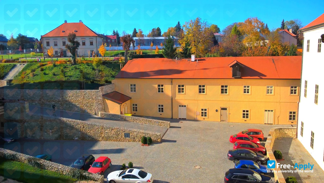 Academia Rerum Civilium College of Political and Social Sciences photo #5