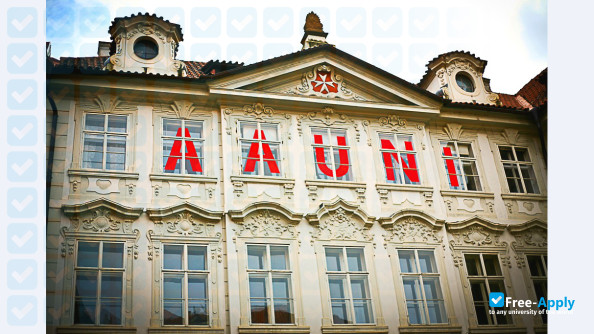 Anglo-American University photo #14