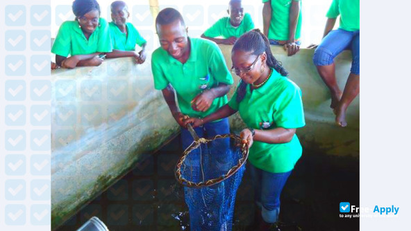 Photo de l’African University of Technology and Management (UATM-GASA) #4