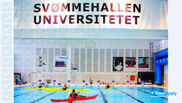 Foto de la University of Southern Denmark #1