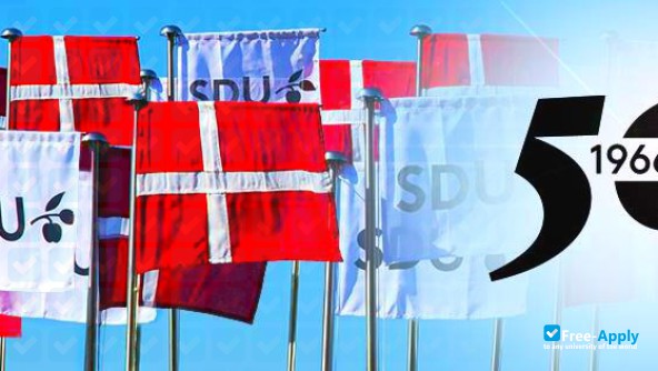 Foto de la University of Southern Denmark #4
