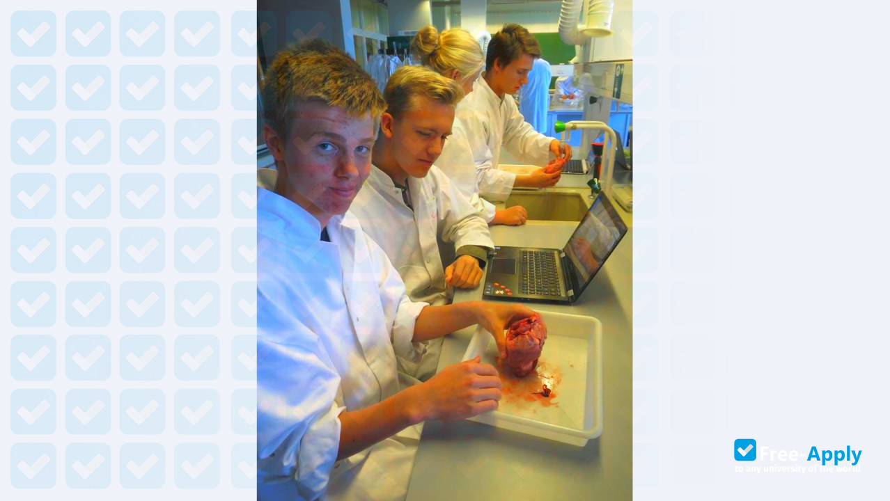 Business and Technical College of Northern Denmark, EUC Nord фотография №11