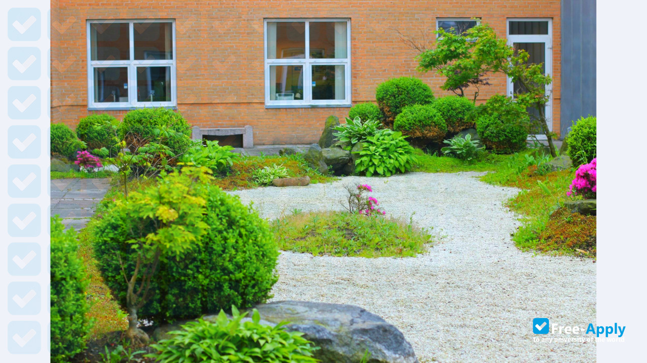 Dania Academy photo #5