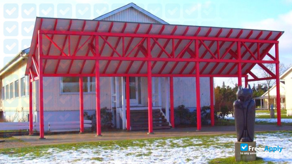 DNS Necessary Teacher Training College photo #11