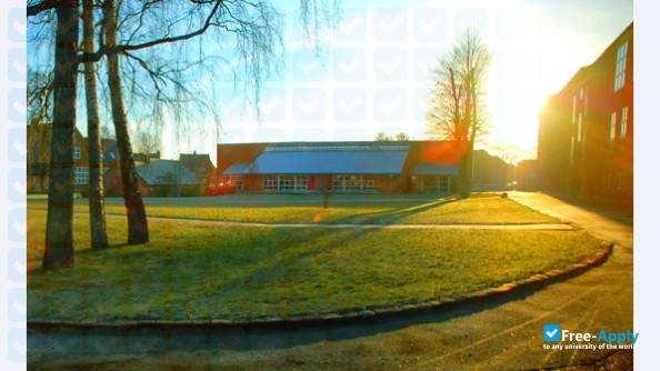 Zealand – Academy of Technologies and Business photo #6