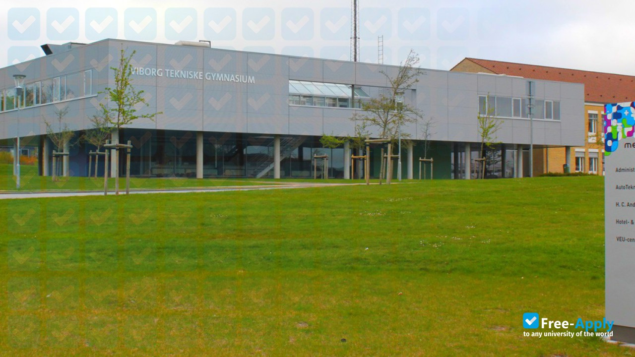 Viborg Business College фотография №12