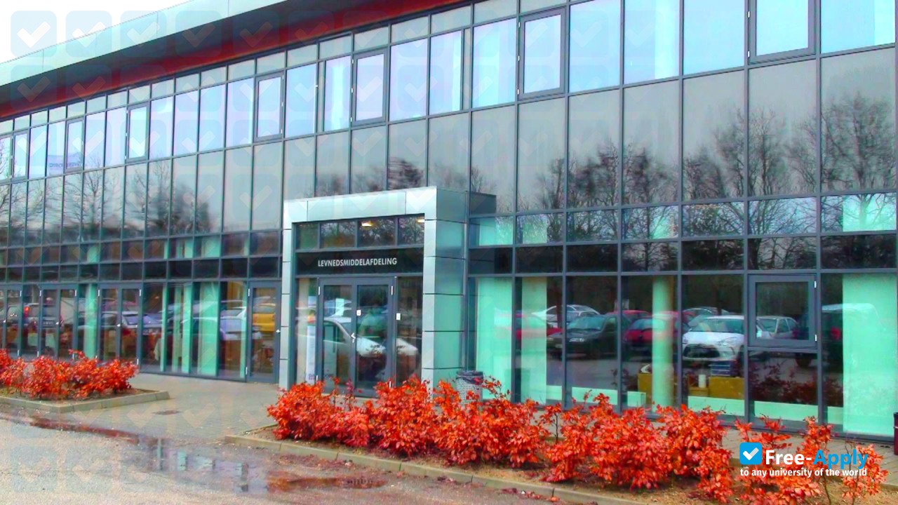 Svendborg Business School photo #7