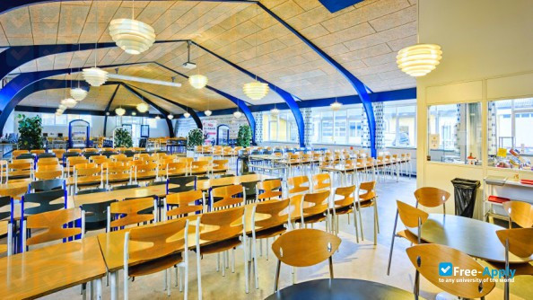 Svendborg Business School photo #2
