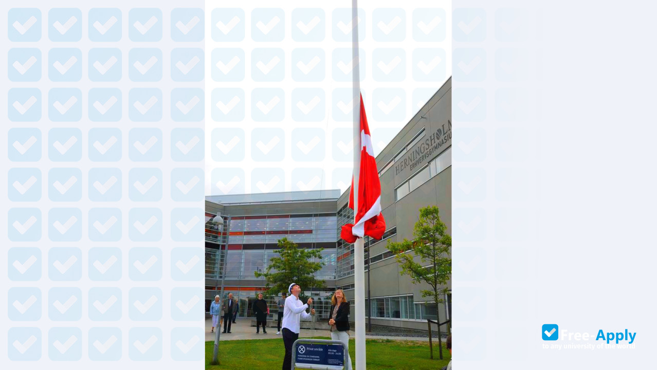 Herning Business College photo #7