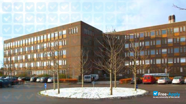 International Business School of Scandinavia photo