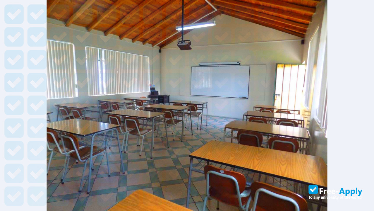 University of Tourist Specialties (UCT) photo #6
