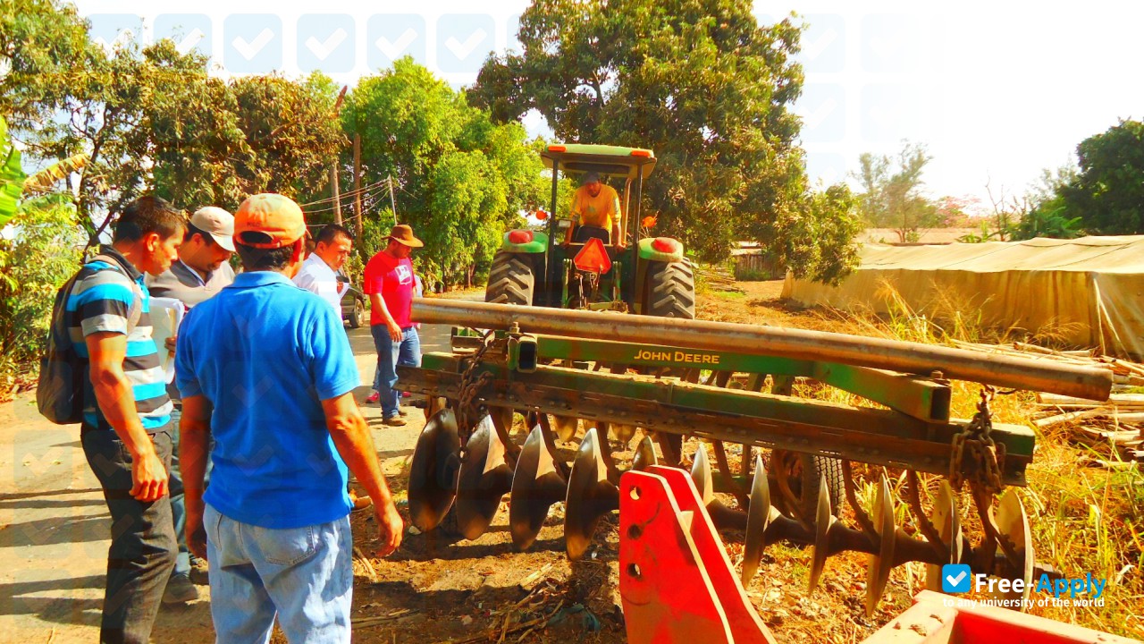 Technical Latin-American University (UTLA) photo #4