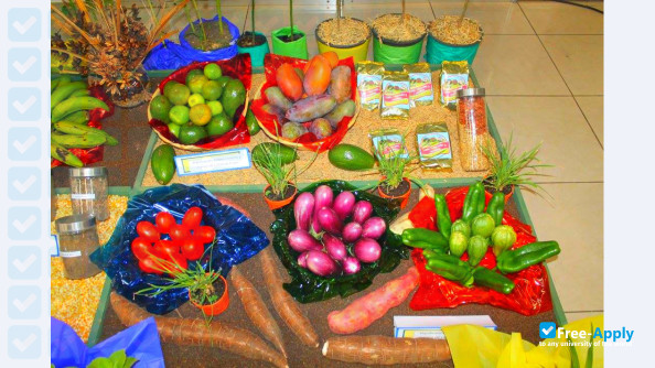 Foto de la College of Agriculture Roberto Quiñonez #3