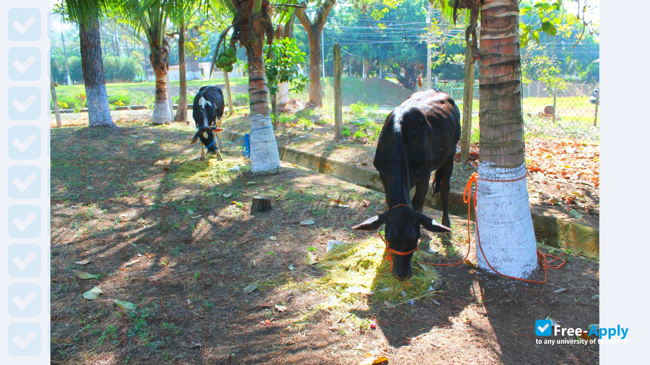 Foto de la College of Agriculture Roberto Quiñonez #9