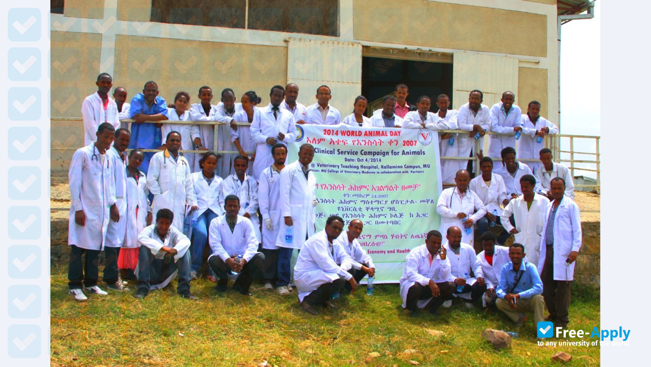 Mekelle University фотография №6