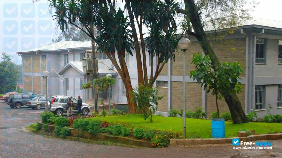 Photo de l’Ethiopian Institute of Architecture, Building Construction and City Development #4