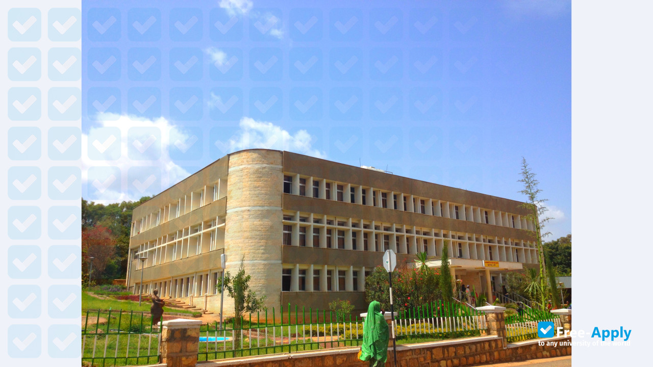 Haramaya University photo #3