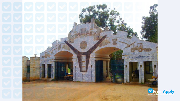 Haramaya University photo #2