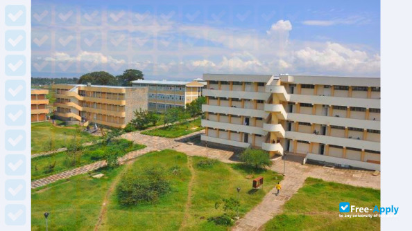 Hawassa University photo #6