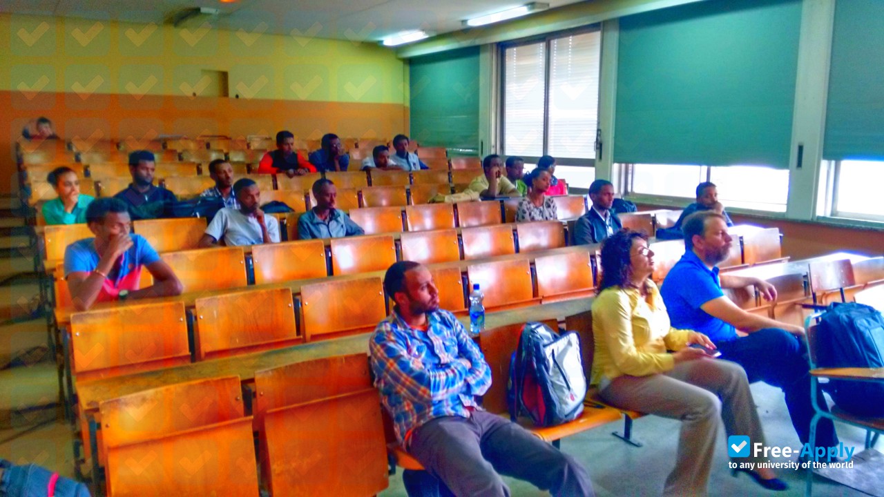 Foto de la Addis Ababa Institute of Technology #6