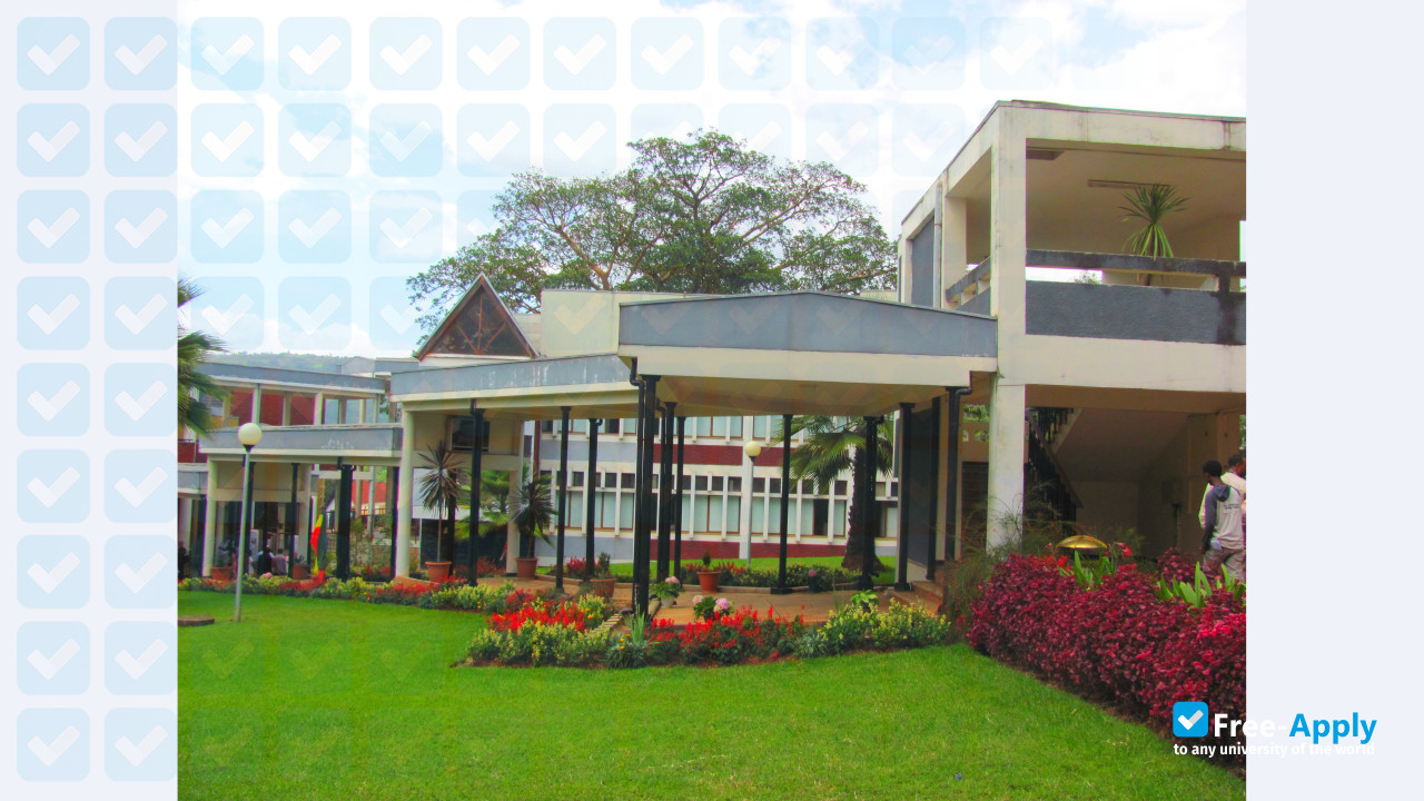 Jimma University photo #6
