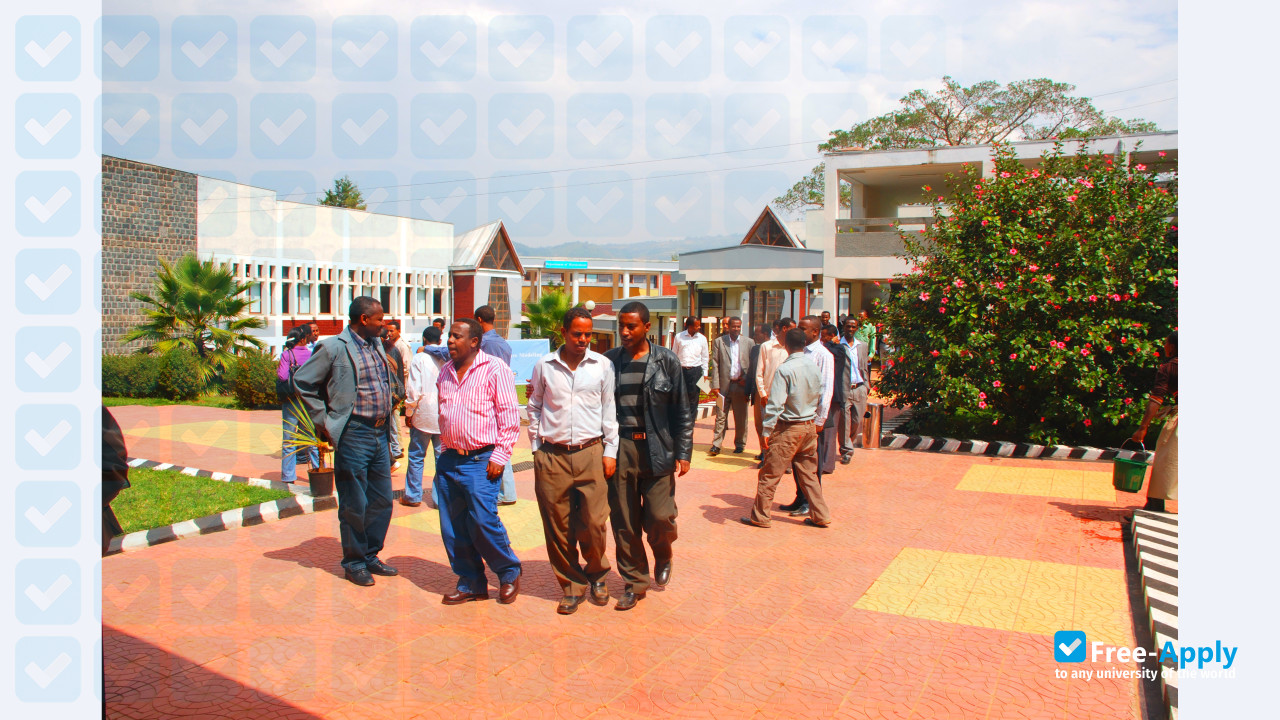 Jimma University photo #7