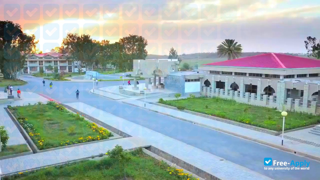 Photo de l’Mekelle Institute of Technology #2