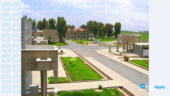 Photo de l’Mekelle Institute of Technology #7