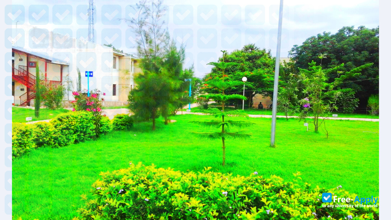 Jijiga University photo #8