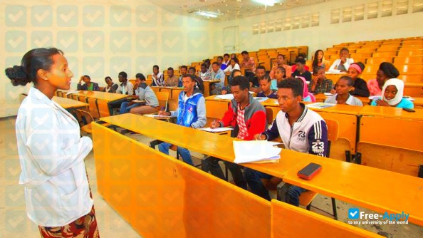 Foto de la Woldia University #9