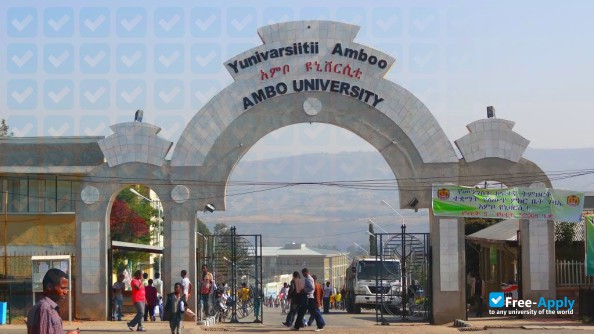 Ambo University photo #3