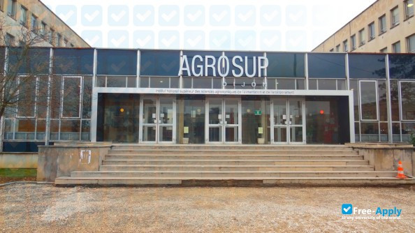 Higher National Institute of Agronomic, Food and Environmental Sciences photo #4