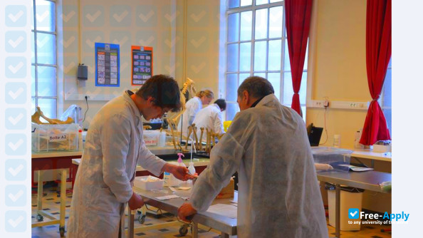 National Veterinary School of Alfort фотография №5