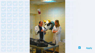 National Veterinary School of Alfort vignette #11