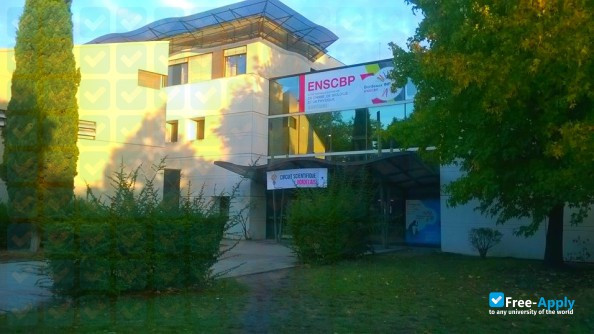 Foto de la Polytechnic Institute of Bordeaux #7