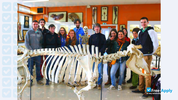 National Veterinary School of Toulouse photo #13