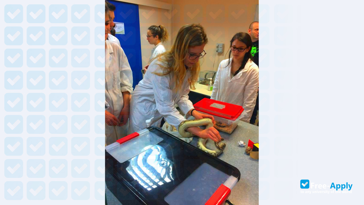 National Veterinary School of Toulouse photo #18