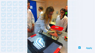 National Veterinary School of Toulouse thumbnail #18