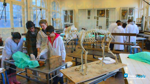 National Veterinary School of Toulouse photo