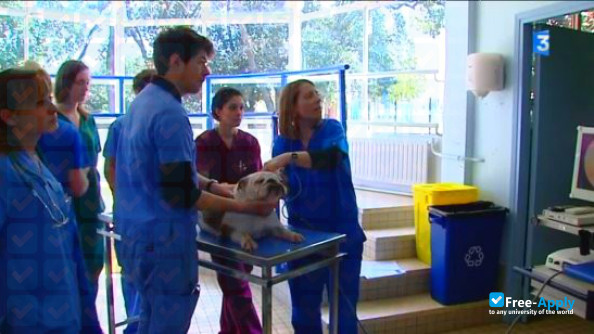 National Veterinary School of Toulouse photo #5