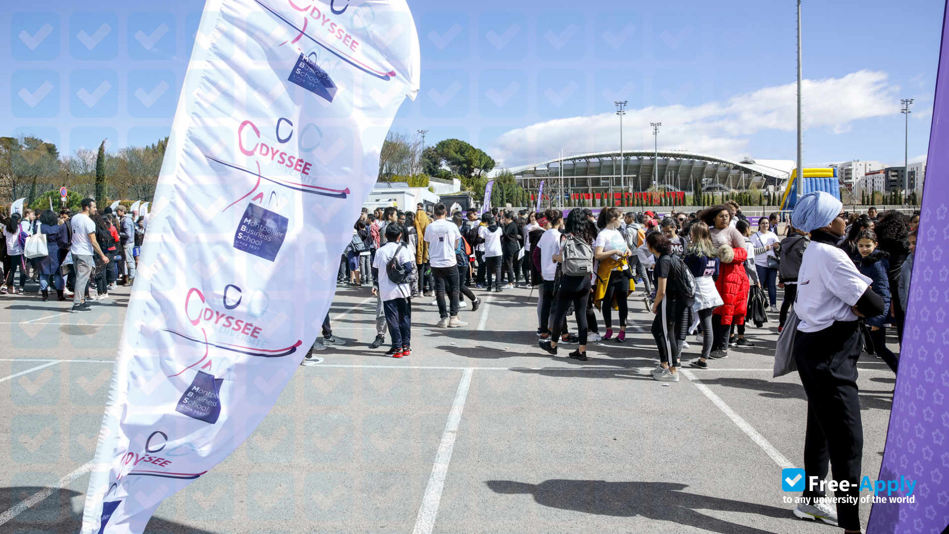 Montpellier Business School photo #16