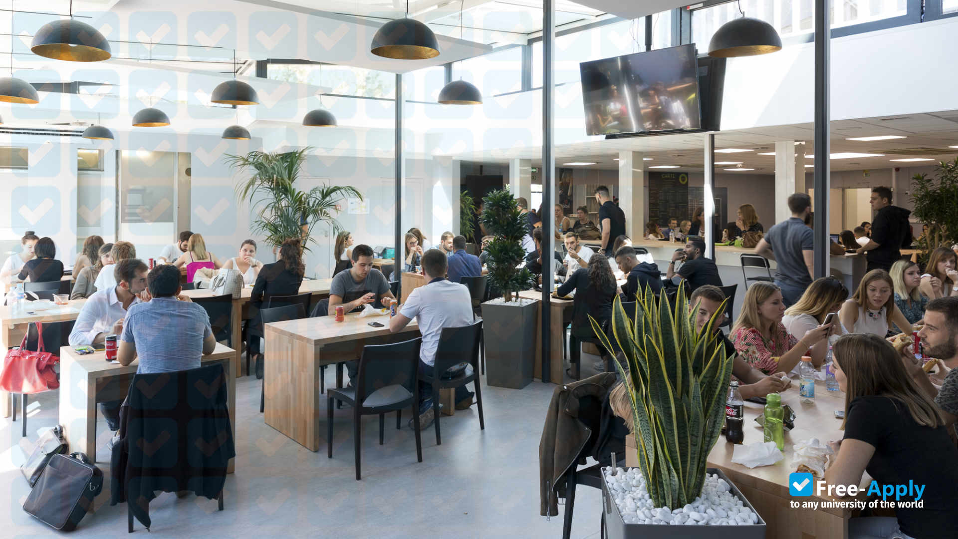 Montpellier Business School photo #3