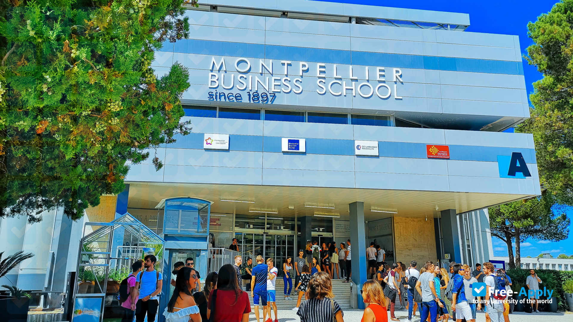 Montpellier Business School photo #15